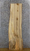 Thumbnail for Natural Edge Salvaged Hackberry Accent/Sofa Table Top Slab 474