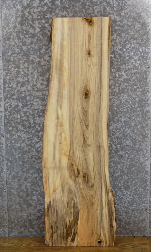 Natural Edge Salvaged Hackberry Accent/Sofa Table Top Slab 474