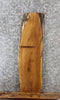 Thumbnail for Live Edge White Oak Taxidermy Mount/Side Table Top Slab 4750