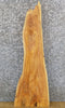 Thumbnail for Hackberry Live Edge Salvaged Accent/Side Table Top Slab 4751