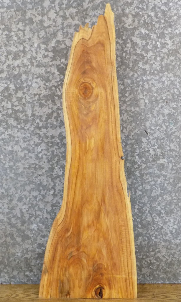 Hackberry Live Edge Salvaged Accent/Side Table Top Slab 4751