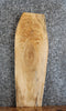 Thumbnail for Maple Natural Edge Side Table Top/Taxidermy Mount 4755