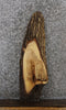 Thumbnail for Maple Live Edge End Table Top/Side Table Top 4771