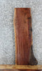 Thumbnail for Live Edge Black Walnut Side Table Top/Taxidermy Mount Slab 4780
