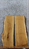Thumbnail for 2- Live Edge White Oak Side Table Top/Taxidermy Mount Slab 4809-4810