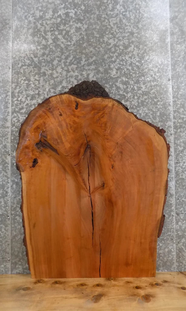 Live Edge Cherry End/Accent/Coffee Table Top Slab CLOSEOUT 4811