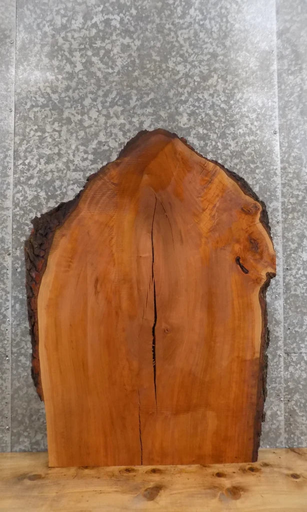 Live Edge Cherry End/Accent/Coffee Table Top Slab CLOSEOUT 4811
