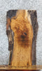 Thumbnail for Live Edge White Oak Side Table Top/Taxidermy Mount Slab 4814