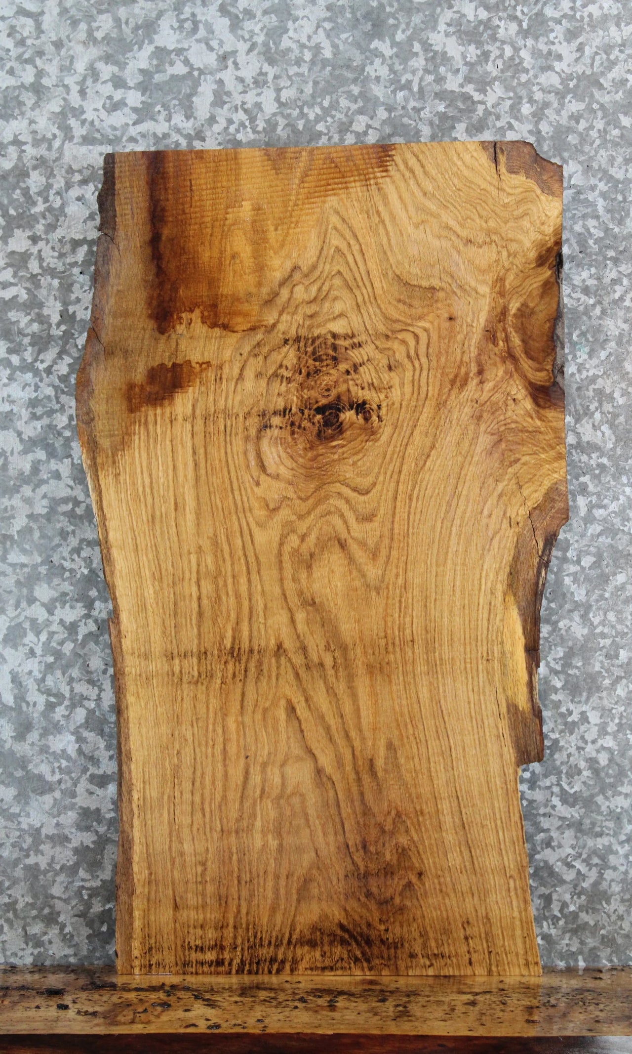 Live Edge White Oak Side Table Top/Taxidermy Mount Slab 4814