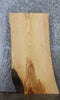 Thumbnail for Ash Live Edge Coffee Table Top/Console Table Top 4815