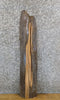 Thumbnail for Live Edge Reclaimed Elm Floating Shelf/Vanity Wood Slab 4826