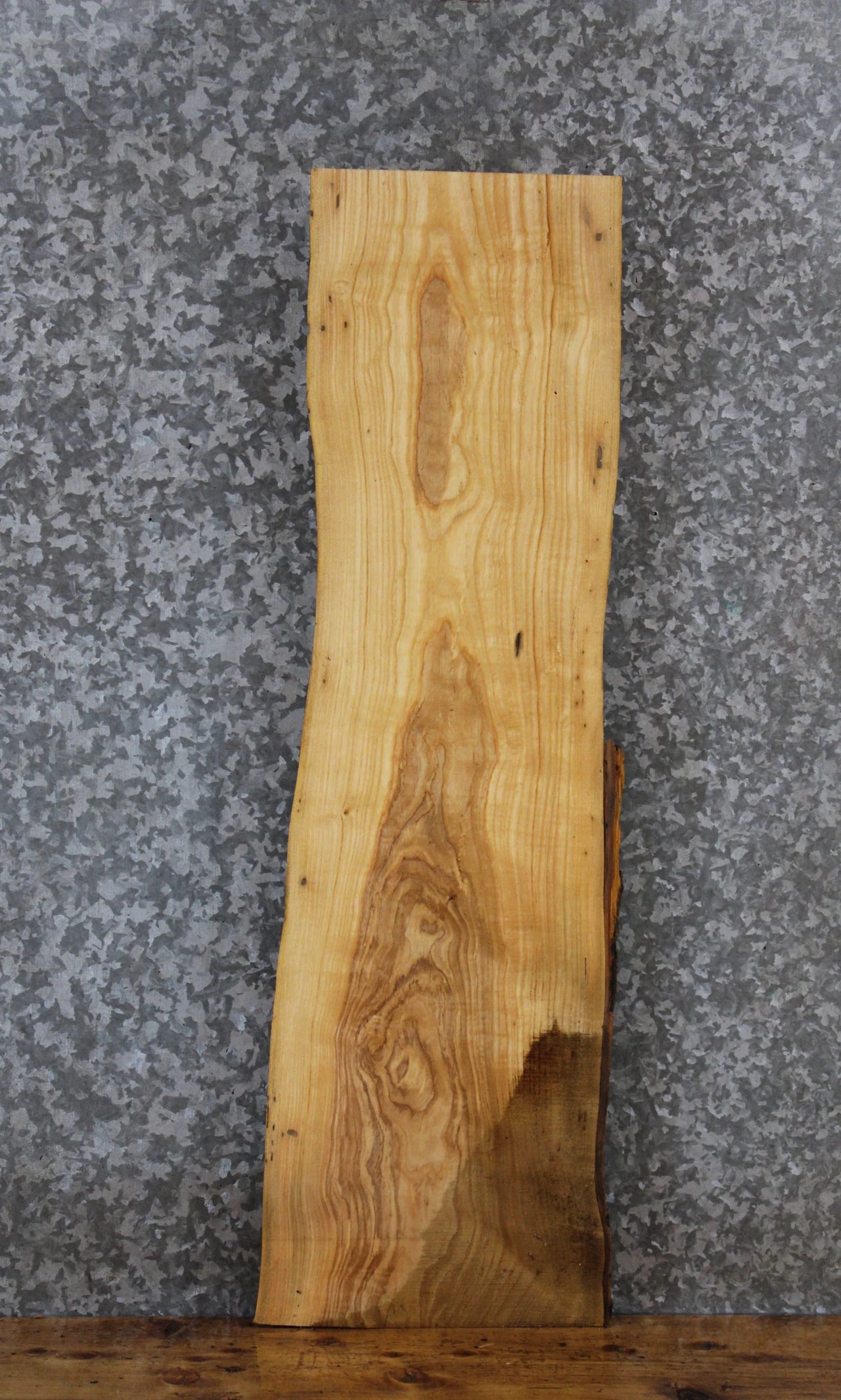 Live Edge Ash Side Table Top/Taxidermy Mount 4830