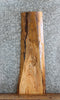 Thumbnail for Live Edge Ash Side Table Top/Taxidermy Mount Slab 4831