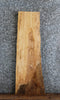 Thumbnail for Live Edge Ash Side Table Top/Taxidermy Mount Slab 4831