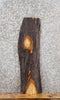 Thumbnail for Live Edge Maple Tree Slab/ Wood Sofa/Side Table Top 4832