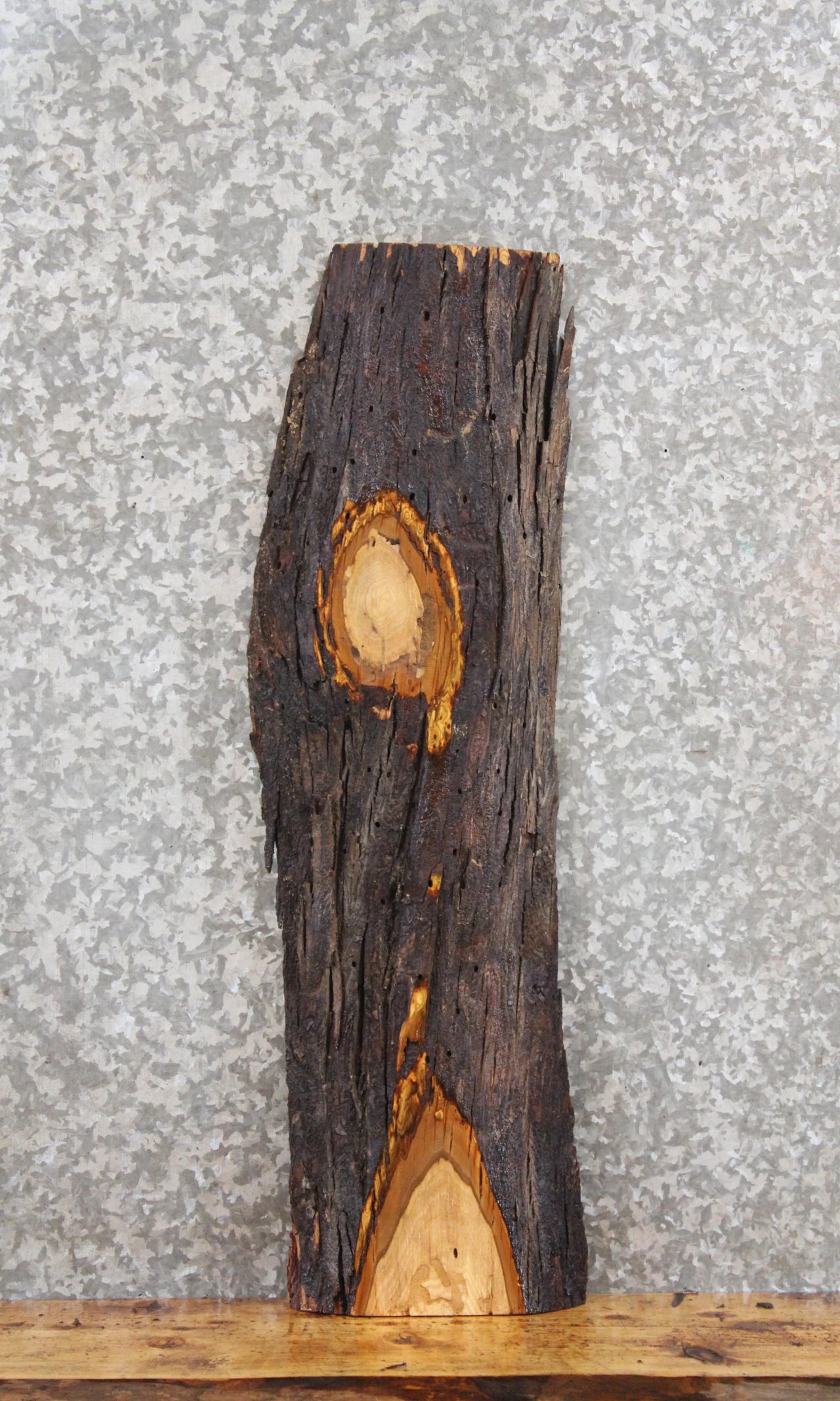 Live Edge Maple Tree Slab/ Wood Sofa/Side Table Top 4832