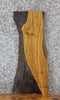 Thumbnail for Live Edge White Oak Side Table Top/Taxidermy Mount 4848