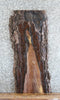 Thumbnail for Live Edge Black Walnut Side/Sofa Table Tops 4851