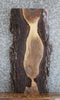 Thumbnail for Live Edge Black Walnut Side/Sofa Table Tops 4852