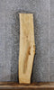 Thumbnail for Rustic Live Edge Maple Coffee Table Top 485