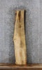 Thumbnail for Rustic Live Edge Maple Coffee Table Top 485