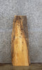 Thumbnail for Live Edge Ash Wall Shelf/Accent/End Table Top Slab 4865