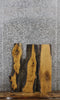 Thumbnail for 3- Oak Live Edge Charcuterie/Shelf/Taxidermy Slabs 4986