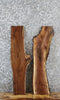 Thumbnail for 2- Walnut Live Edge Charcuterie/Shelf/Taxidermy Slabs 4987-4988