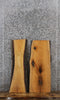 Thumbnail for 2- Cherry Live Edge Charcuterie/Shelf Slabs 4988