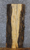 Thumbnail for Live Edge Spalted Maple End/Side Table Top Slab 501
