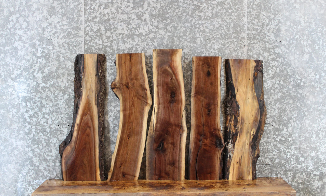 5- Rustic Natural Edge Black Walnut Wall Shelves 5022-5026