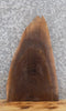 Thumbnail for Live Edge Black Walnut Taxidermy Mount/Wall Art Slab CLOSEOUT 5031