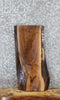 Thumbnail for Black Walnut Live Edge Taxidermy Mount/Coffee Table 5031