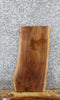 Thumbnail for Black Walnut Live Edge Taxidermy Mount/Coffee Table 5031