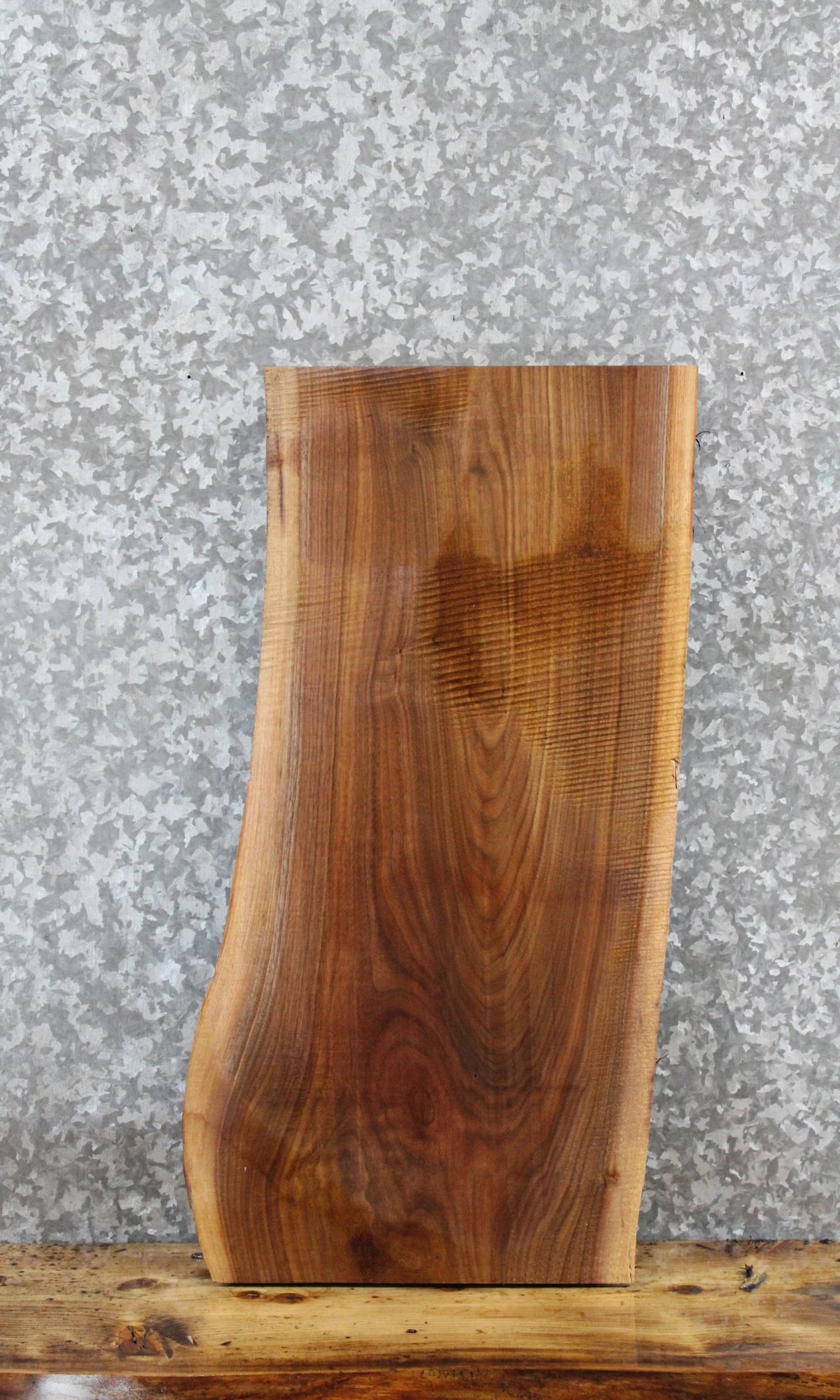 Black Walnut Live Edge Taxidermy Mount/Coffee Table 5031