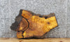 Thumbnail for Live Edge Mulberry Slab, Tree Slice, End Table Top 5032