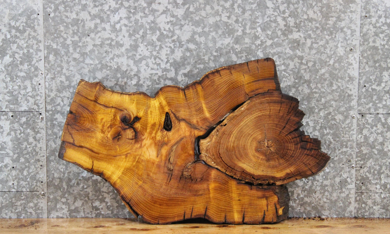 Live Edge Mulberry Slab, Tree Slice, End Table Top 5032
