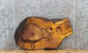 Thumbnail for Mulberry Live Edge Round Cut Tree Slice, Epoxy Slab 5033