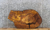 Thumbnail for Mulberry Live Edge Round Cut Tree Slice, Epoxy Slab 5033