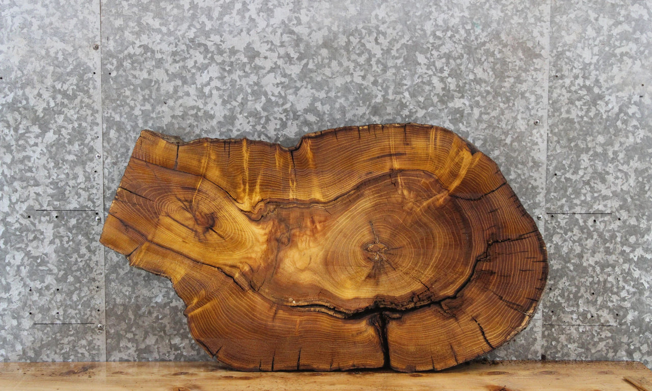 Mulberry Live Edge Round Cut Tree Slice, Epoxy Slab 5033