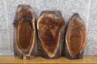 Thumbnail for 3- Salvaged Live Edge Black Walnut DIY Charcuterie Boards/Slabs 5036-5038