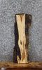 Thumbnail for White Oak Live Edge Taxidermy Slab 5039