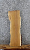 Thumbnail for White Oak Live Edge Taxidermy Slab 5039