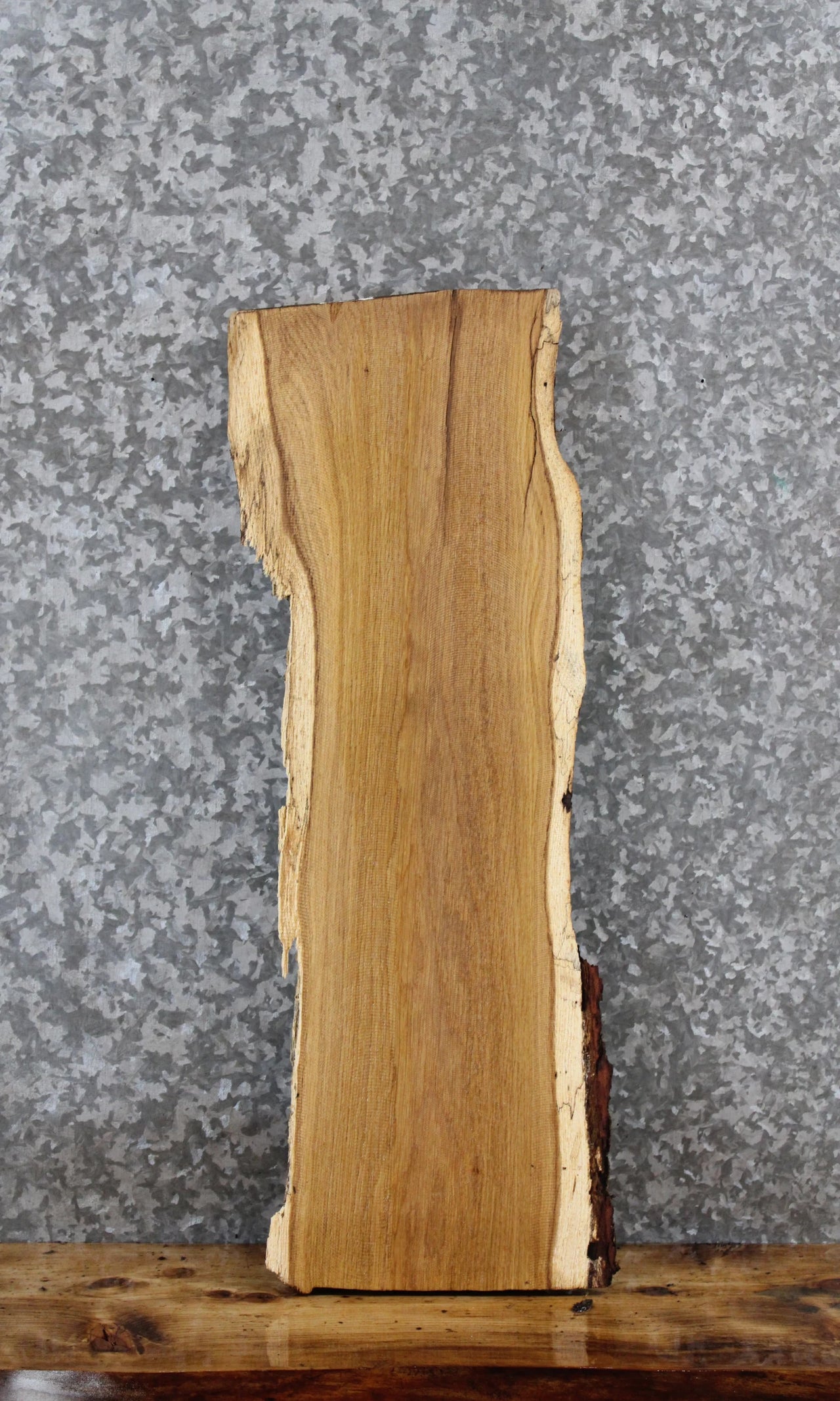 White Oak Live Edge Taxidermy Slab 5039