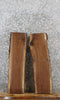 Thumbnail for 2- Walnut Live Edge Shelf/Taxidermy Slabs 5040