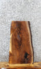 Thumbnail for Walnut Live Edge Shelf/End Table Slab 5050