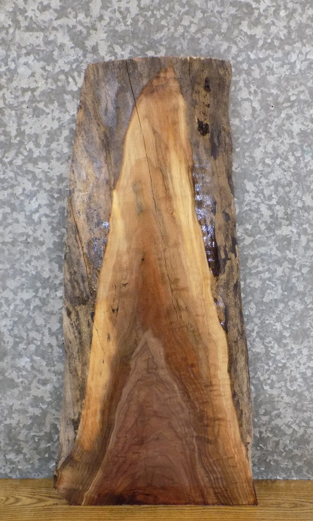 Live Edge Rustic Black Walnut End/Entry Table Top Slab 5052