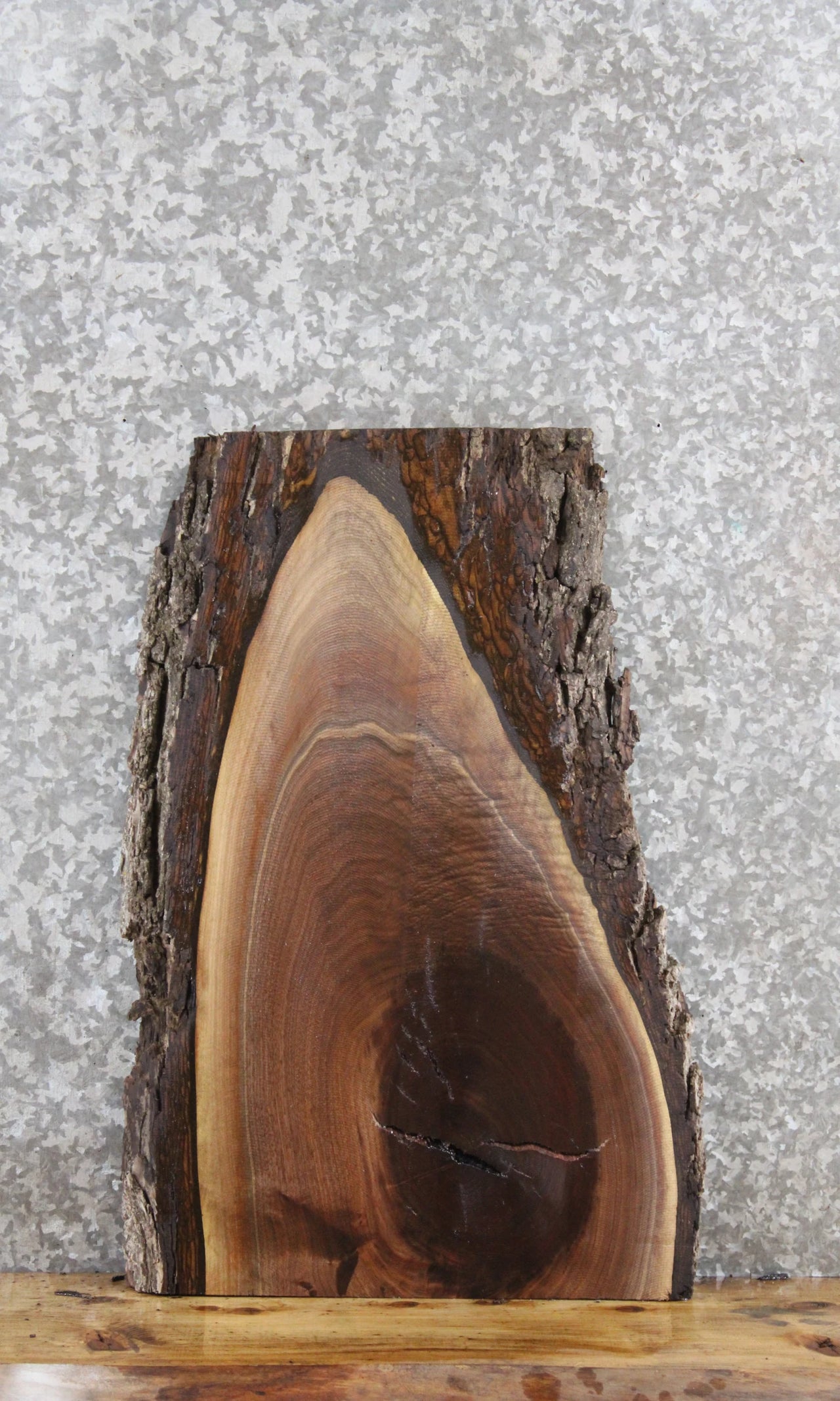 Black Walnut Live Edge Charcuterie/End Table Slab 5056