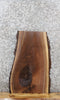 Thumbnail for Black Walnut Live Edge Charcuterie/End Table Slab 5056