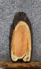 Thumbnail for Locust Live Edge Charcuterie/End Table Slab 5058
